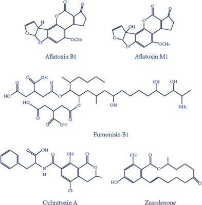 Aptamer-Based Biosensor for Detection of Mycotoxins